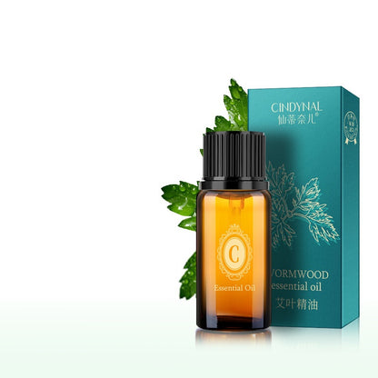 Lavender Rose Mugwort Ginger Oil Facial Body